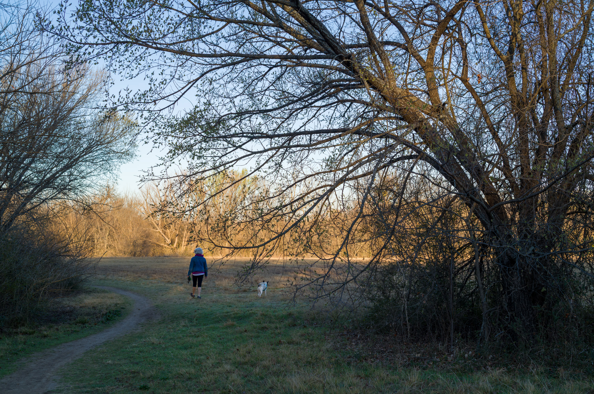 Morning Walk photograph by Luther Smith
