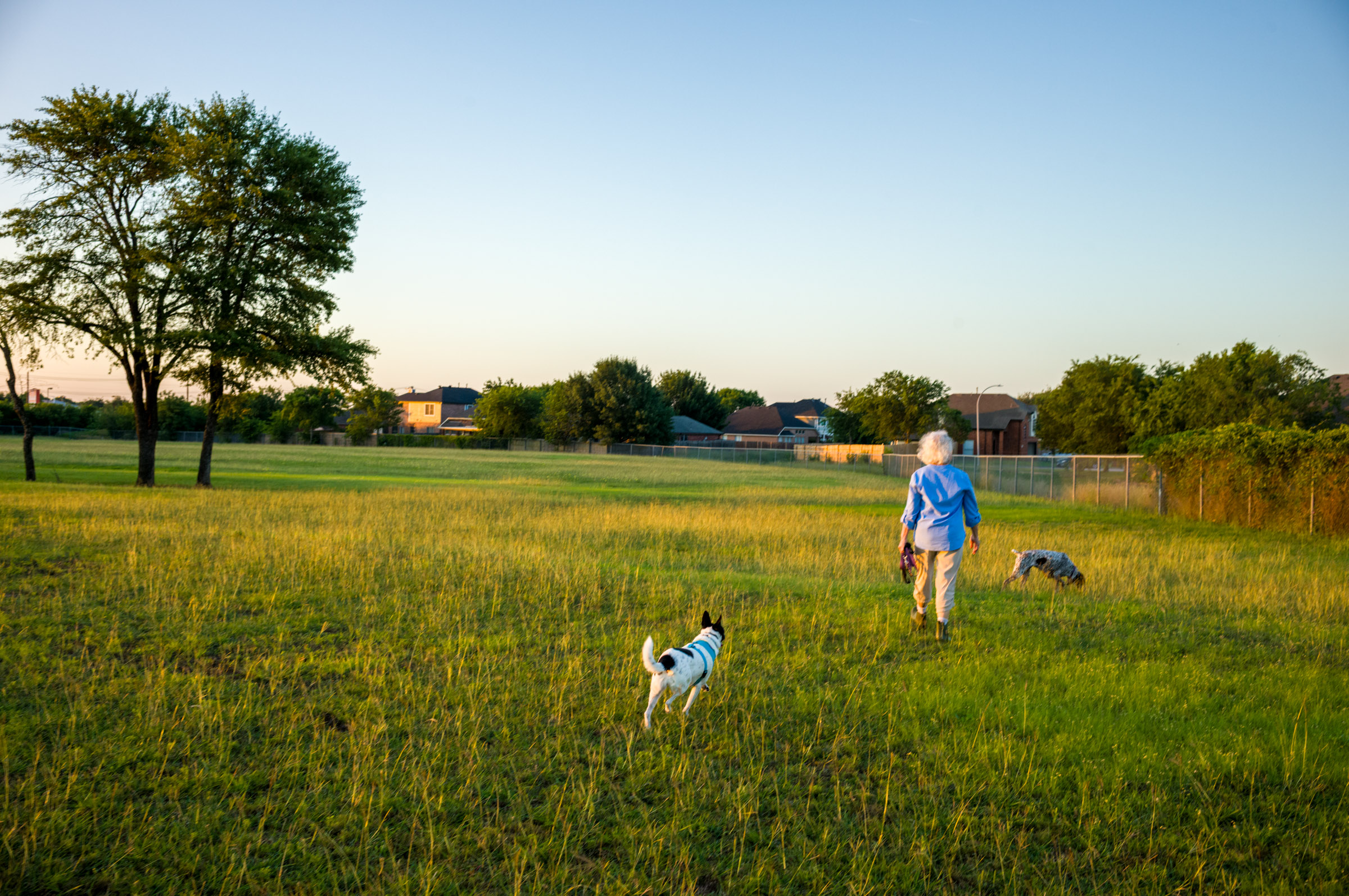Morning Walk photograph by Luther Smith
