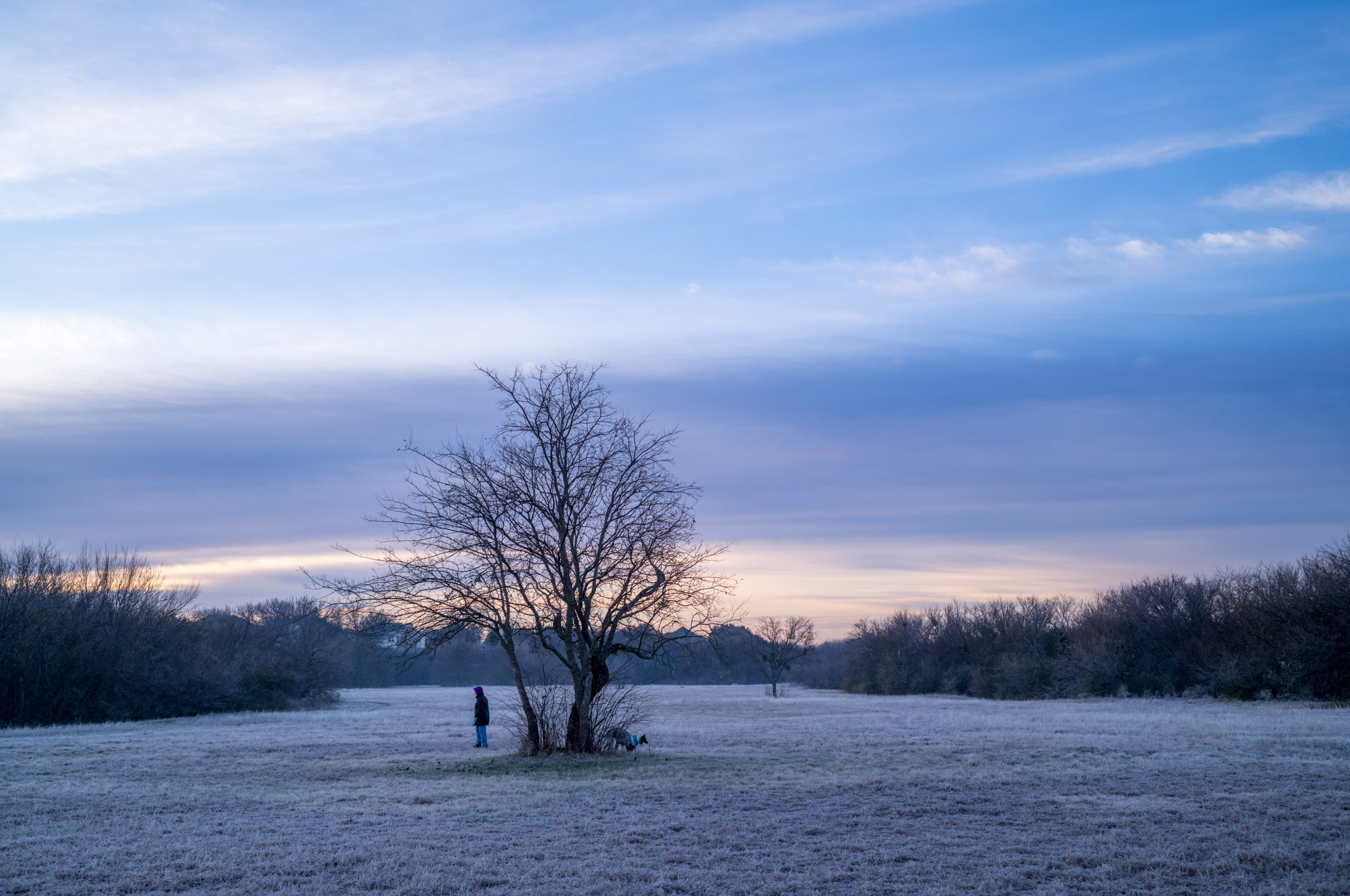 Morning Walk photograph by Luther Smith