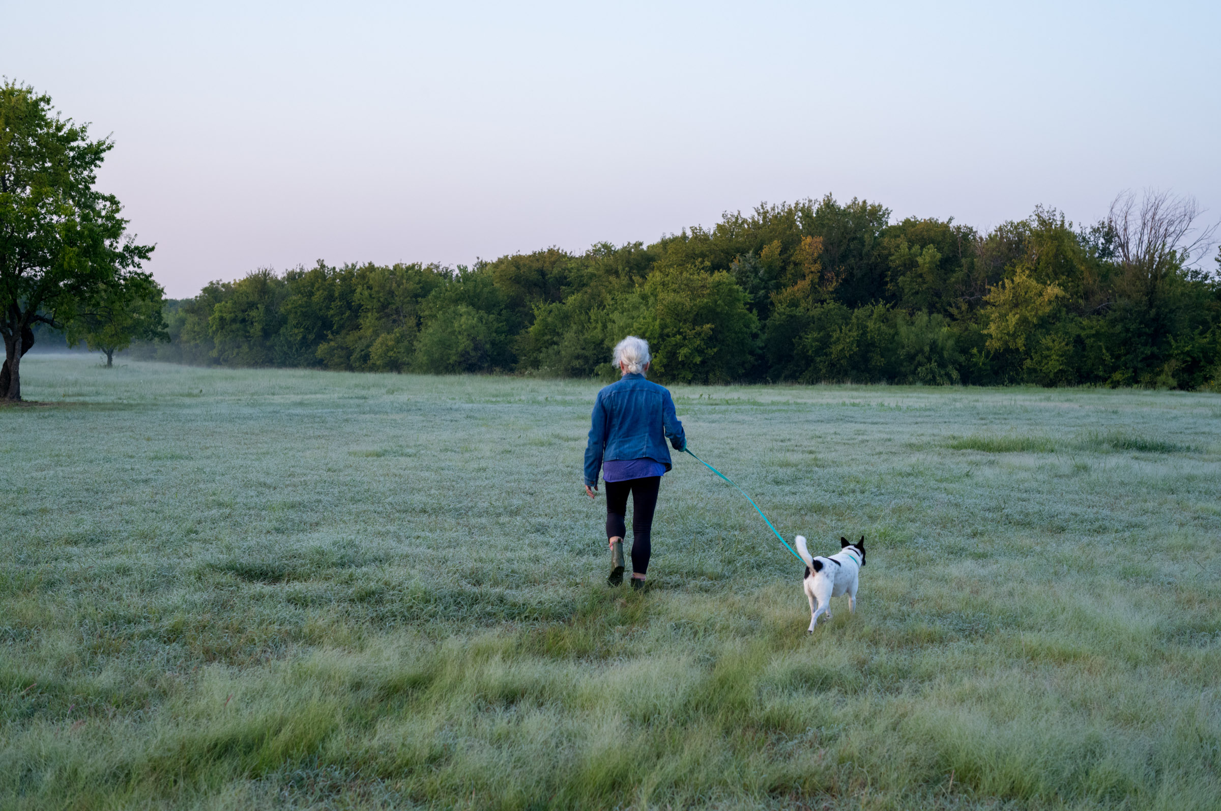 Morning Walk photograph by Luther Smith