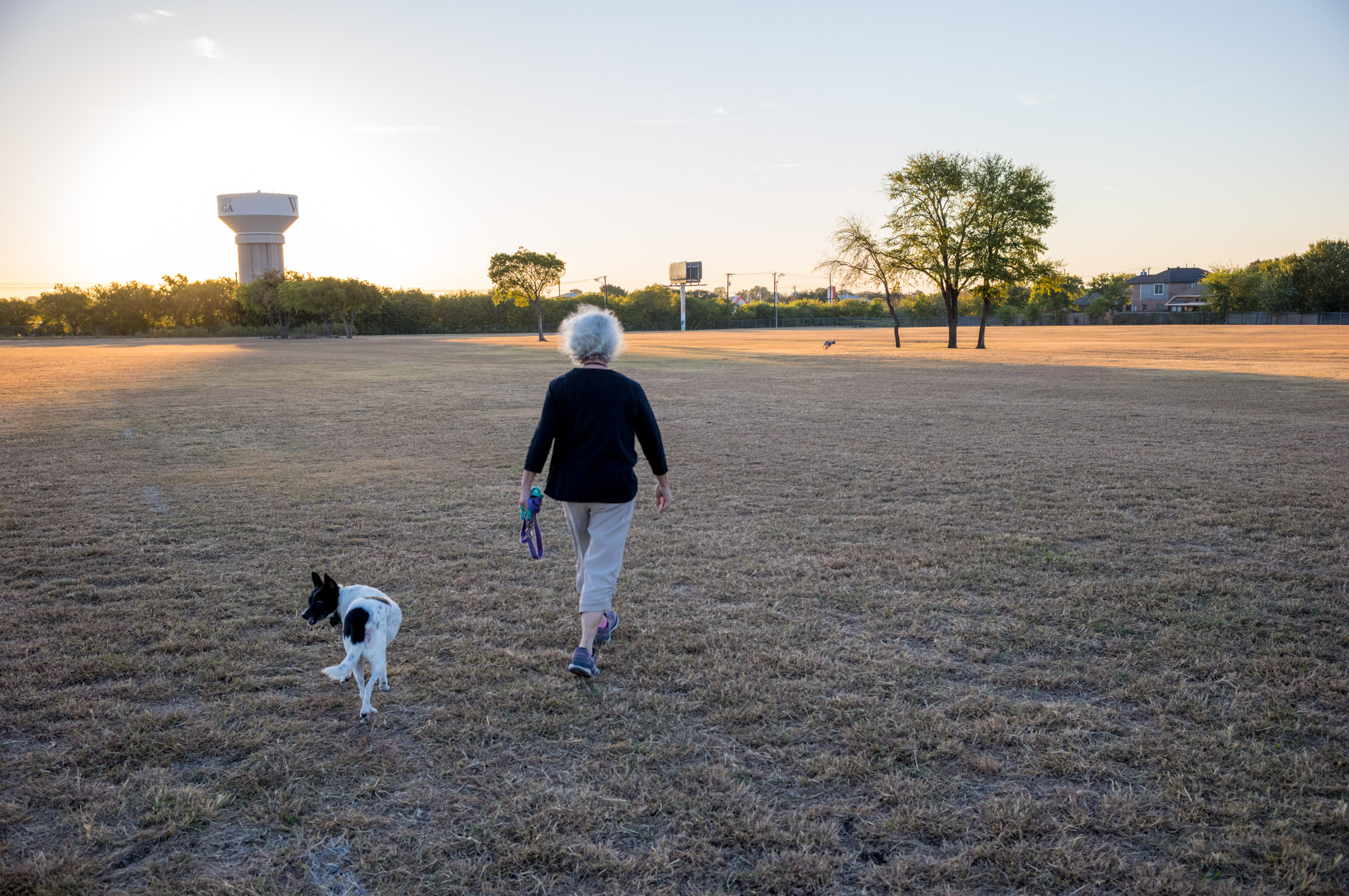 Morning Walk photograph by Luther Smith