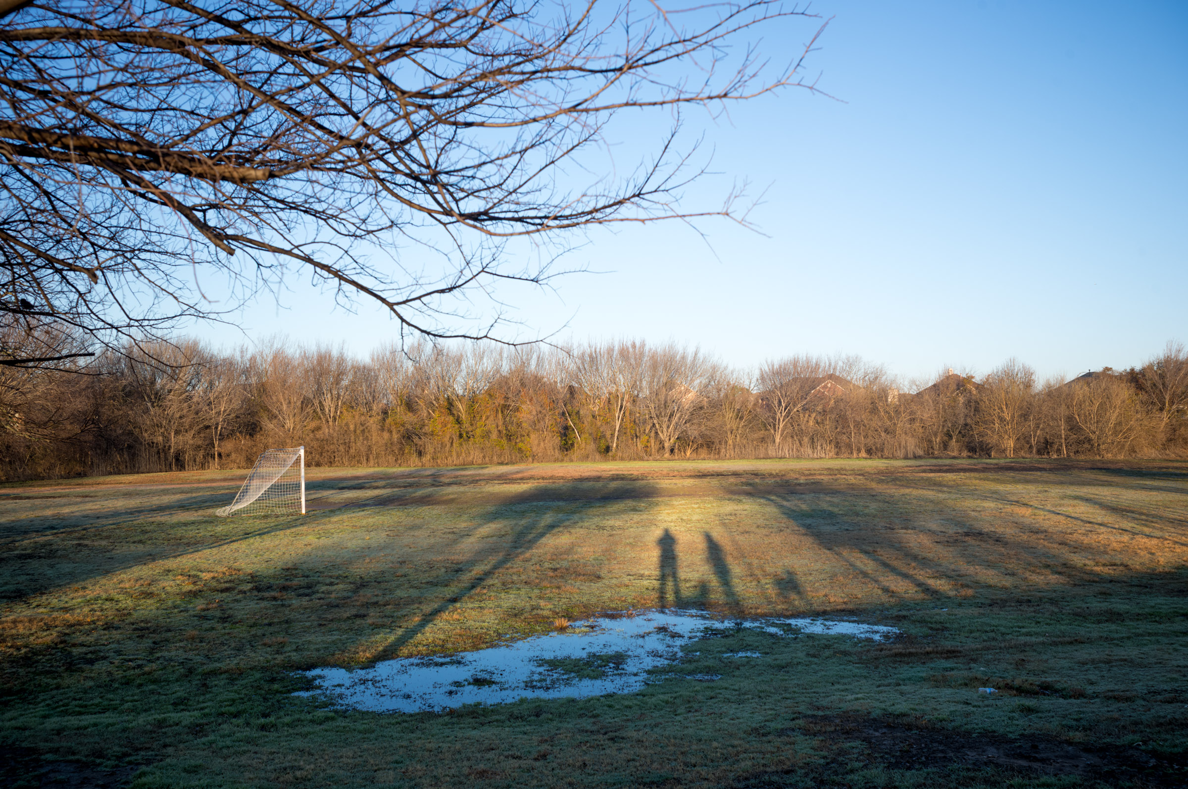Morning Walk photograph by Luther Smith