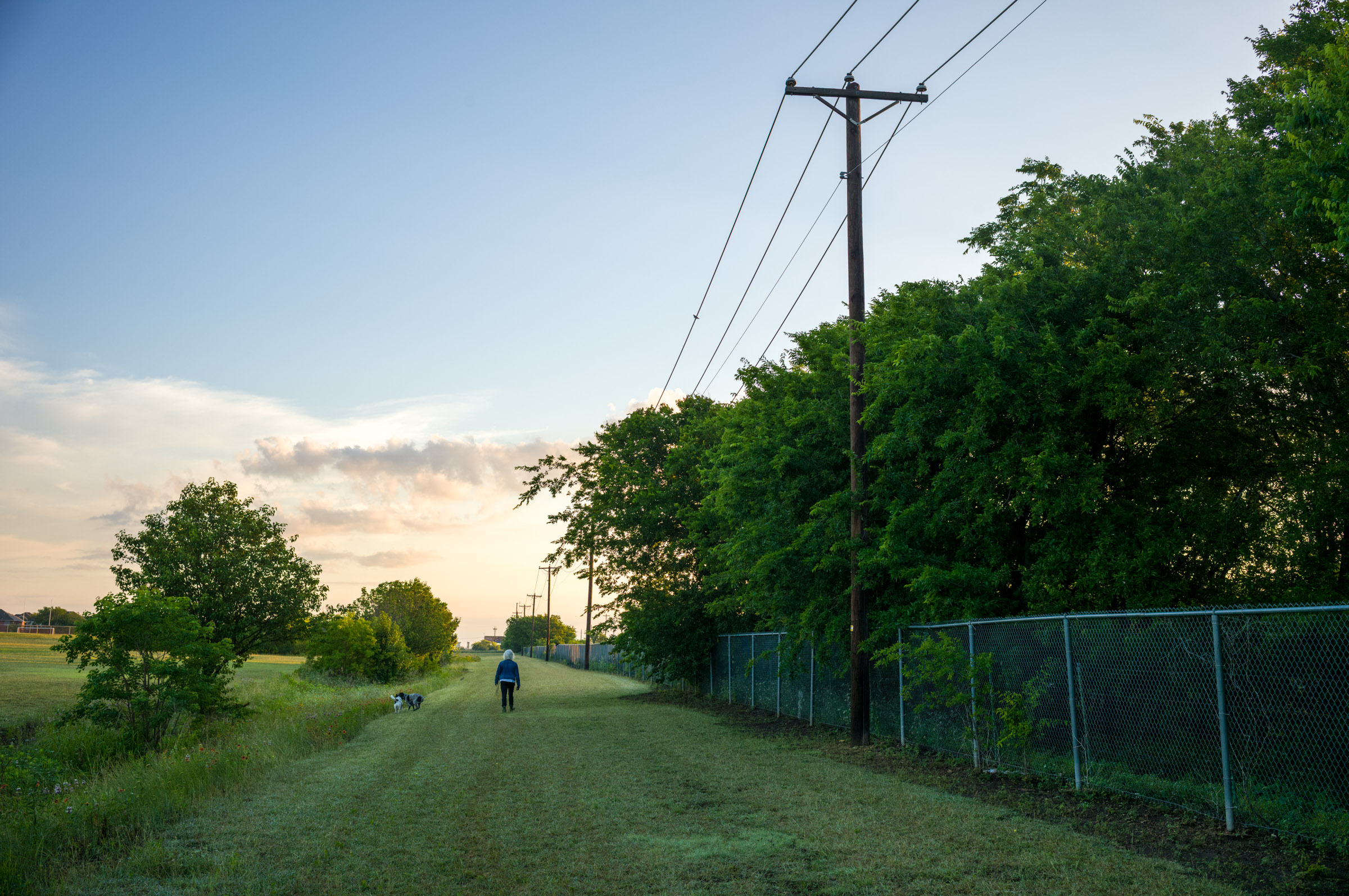 Morning Walk photograph by Luther Smith