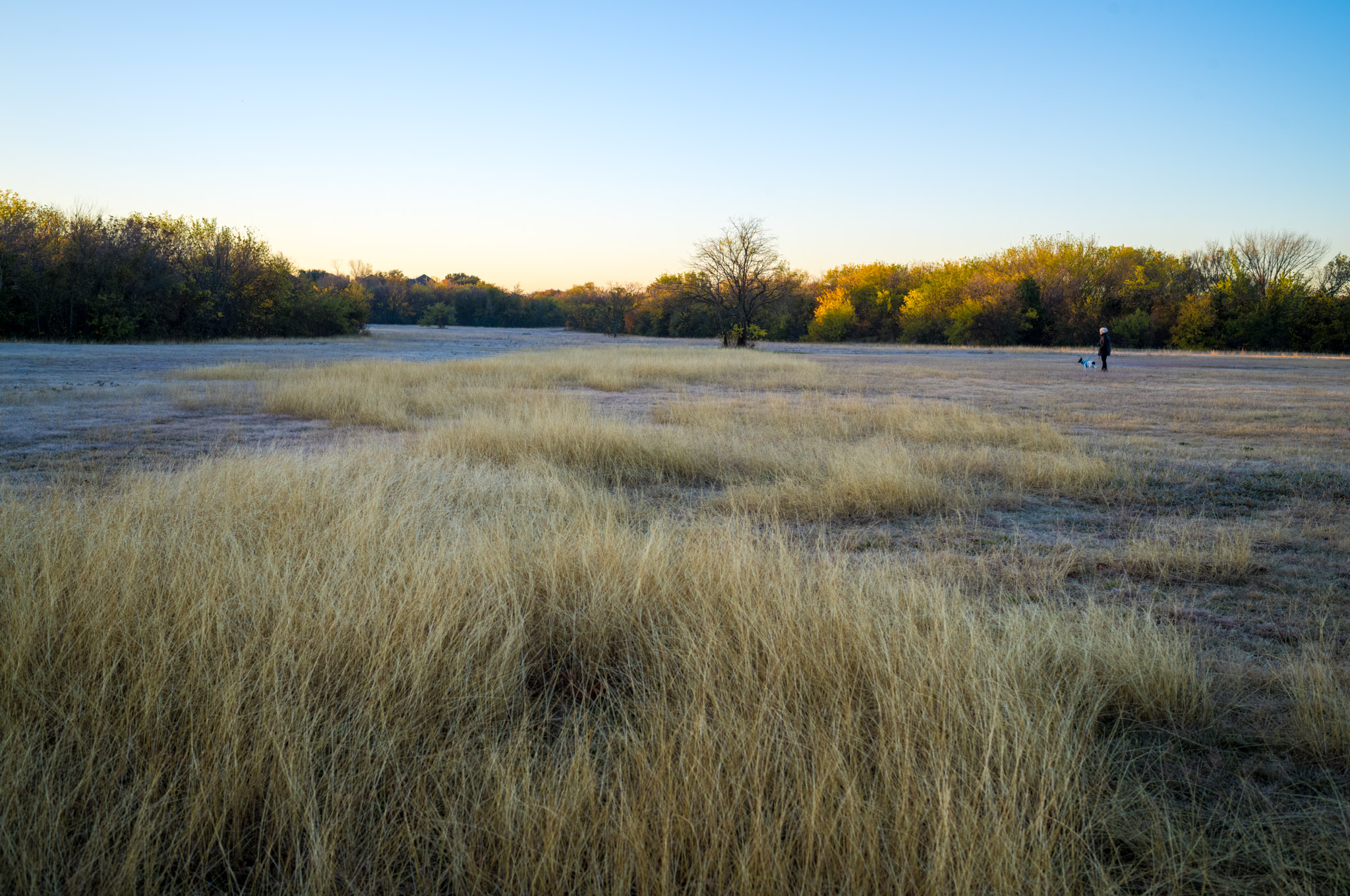 Morning Walk photograph by Luther Smith