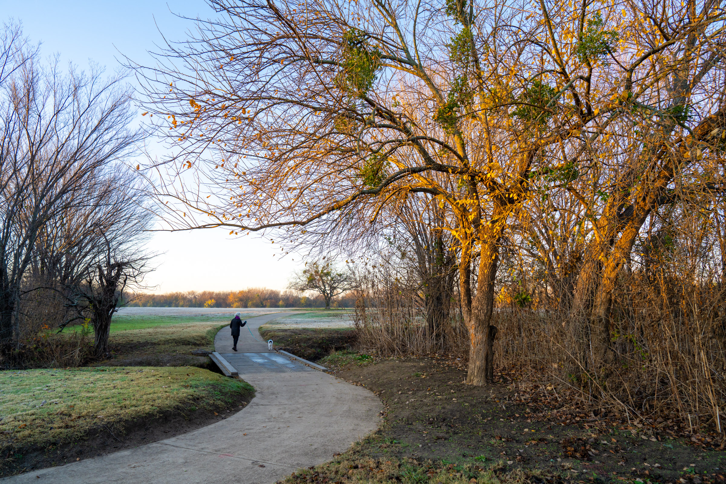 Morning Walk photograph by Luther Smith
