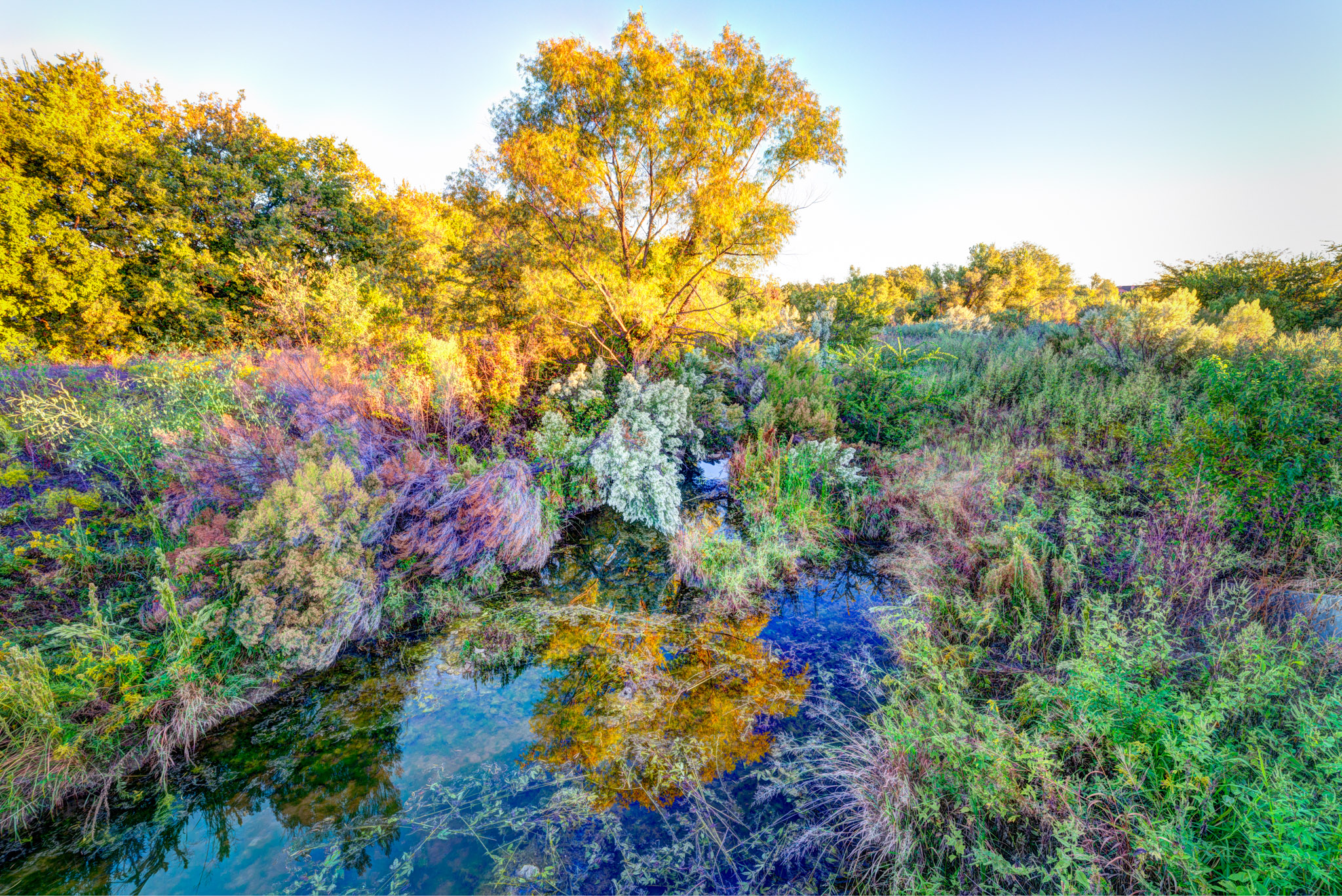 Local Fort Worth environment